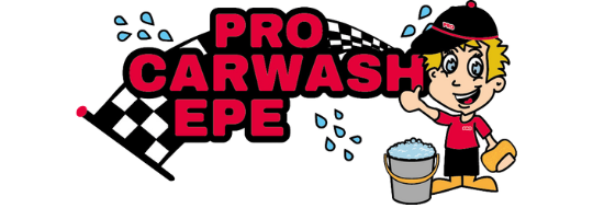 Pro Carwash Epe logo